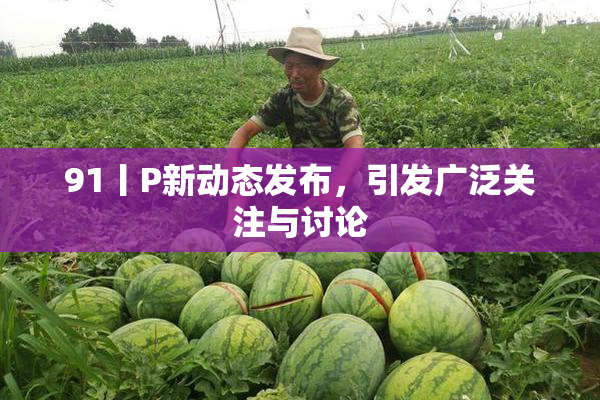 91丨P新动态发布，引发广泛关注与讨论