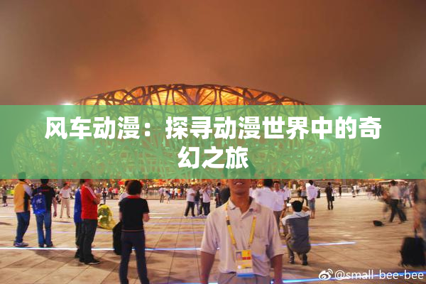 风车动漫：探寻动漫世界中的奇幻之旅