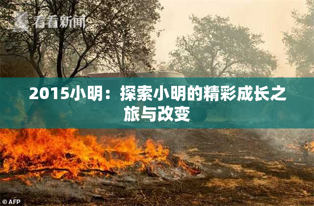2015小明：探索小明的精彩成长之旅与改变