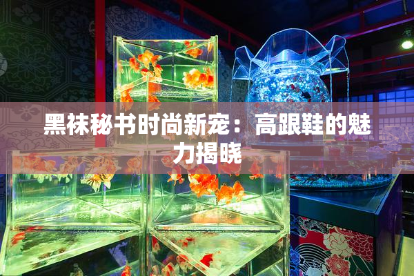 黑袜秘书时尚新宠：高跟鞋的魅力揭晓