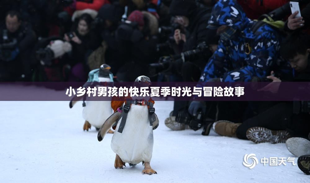 小乡村男孩的快乐夏季时光与冒险故事