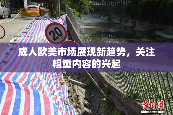 成人欧美市场展现新趋势，关注粗重内容的兴起