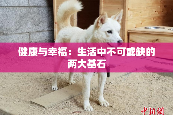 健康与幸福：生活中不可或缺的两大基石