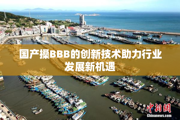 国产搡BBB的创新技术助力行业发展新机遇
