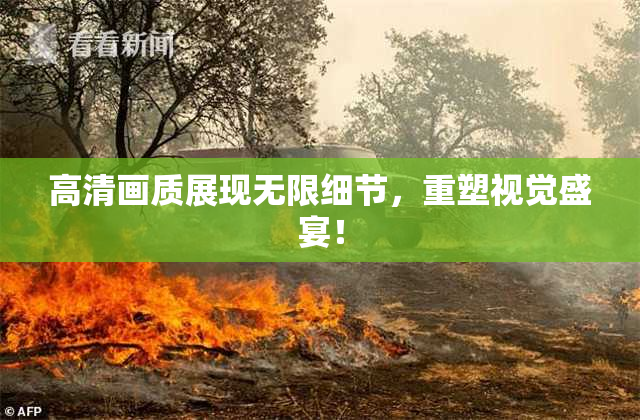 高清画质展现无限细节，重塑视觉盛宴！