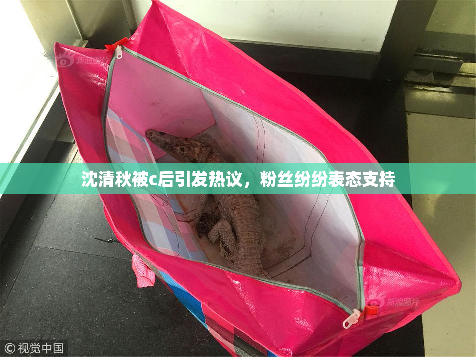 沈清秋被c后引发热议，粉丝纷纷表态支持