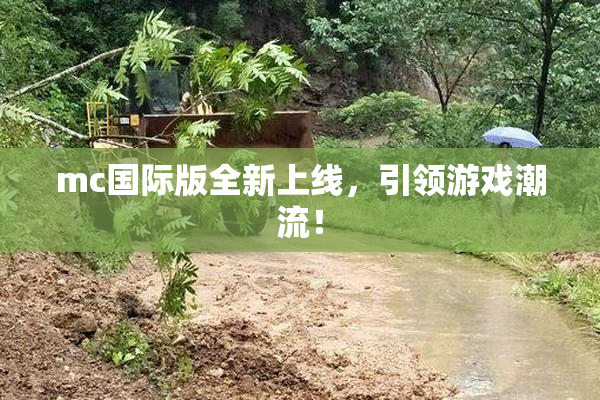 mc国际版全新上线，引领游戏潮流！