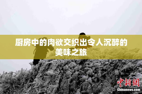 厨房中的肉欲交织出令人沉醉的美味之旅
