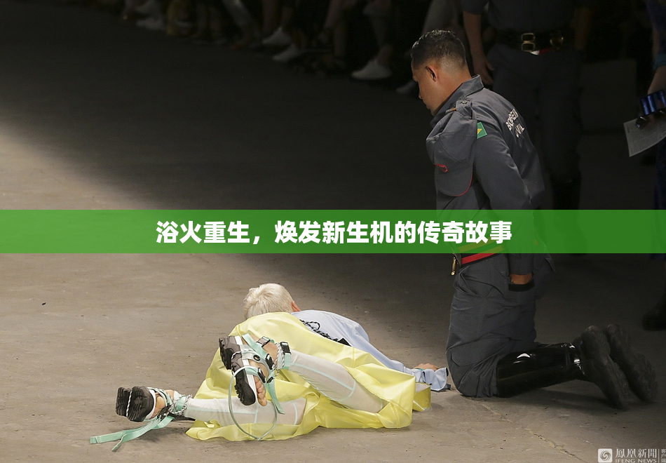 浴火重生，焕发新生机的传奇故事