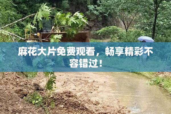 麻花大片免费观看，畅享精彩不容错过！