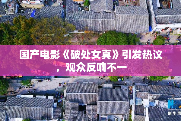 国产电影《破处女真》引发热议，观众反响不一