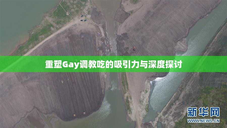 重塑Gay调教吃的吸引力与深度探讨