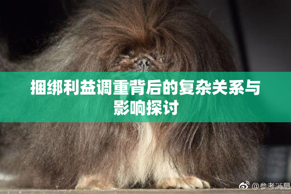 捆绑利益调重背后的复杂关系与影响探讨