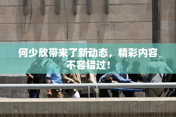 何少欣带来了新动态，精彩内容不容错过！