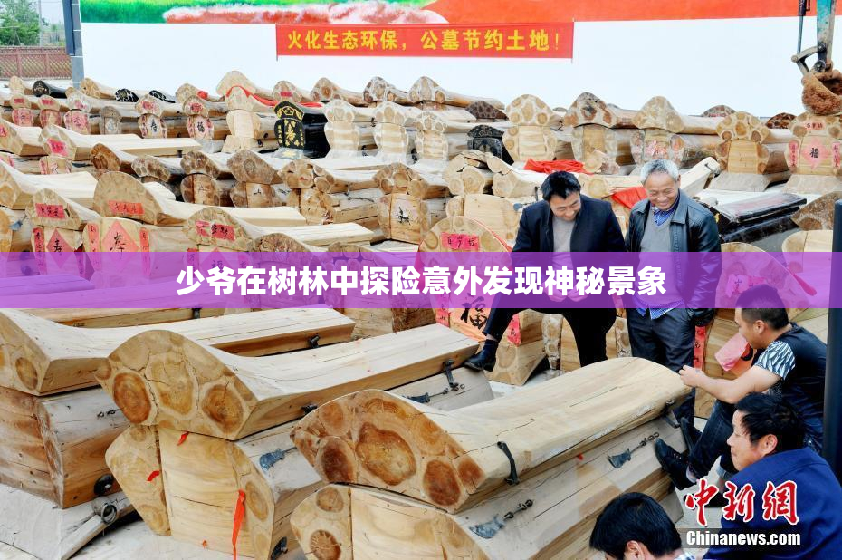 少爷在树林中探险意外发现神秘景象