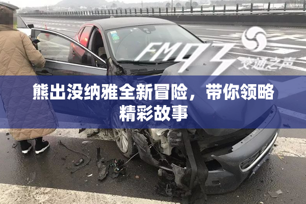 熊出没纳雅全新冒险，带你领略精彩故事
