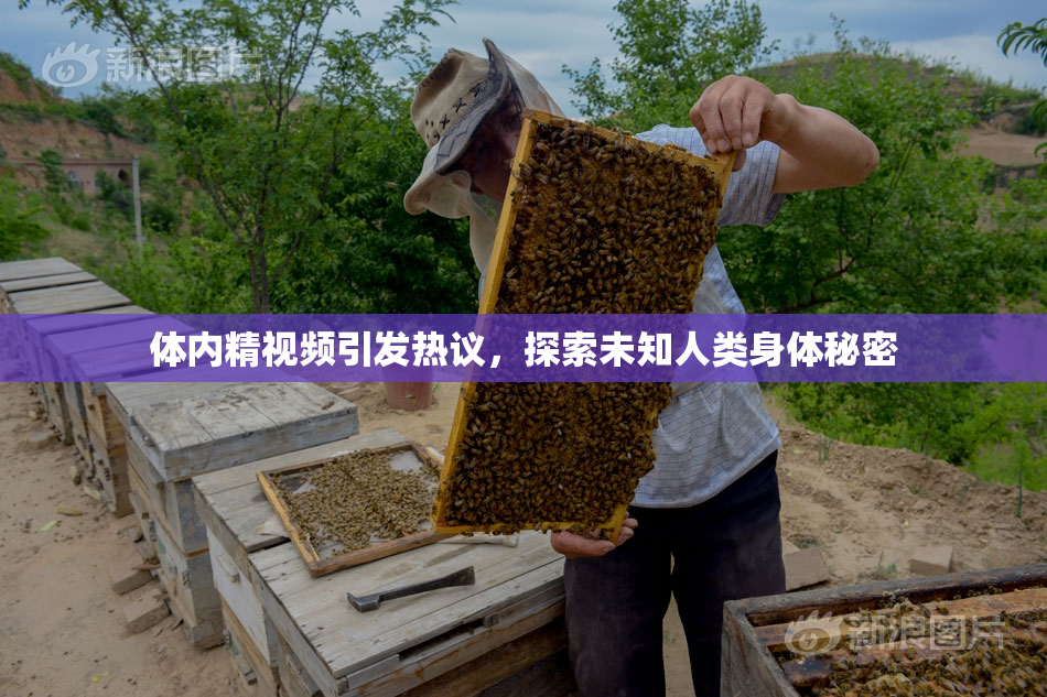 体内精视频引发热议，探索未知人类身体秘密
