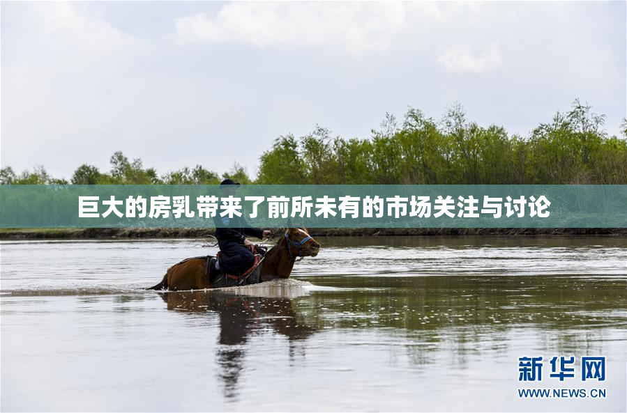巨大的房乳带来了前所未有的市场关注与讨论