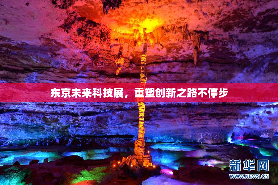 东京未来科技展，重塑创新之路不停步