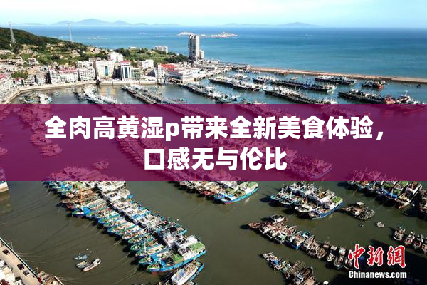 全肉高黄湿p带来全新美食体验，口感无与伦比