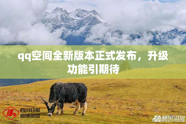 qq空间全新版本正式发布，升级功能引期待