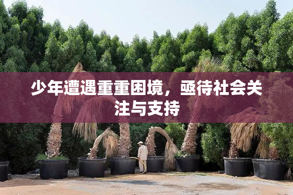 少年遭遇重重困境，亟待社会关注与支持