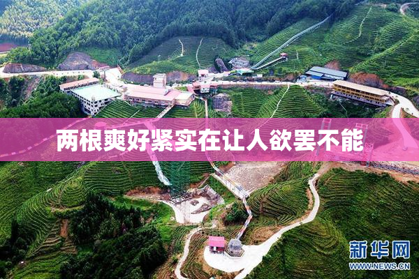 两根爽好紧实在让人欲罢不能