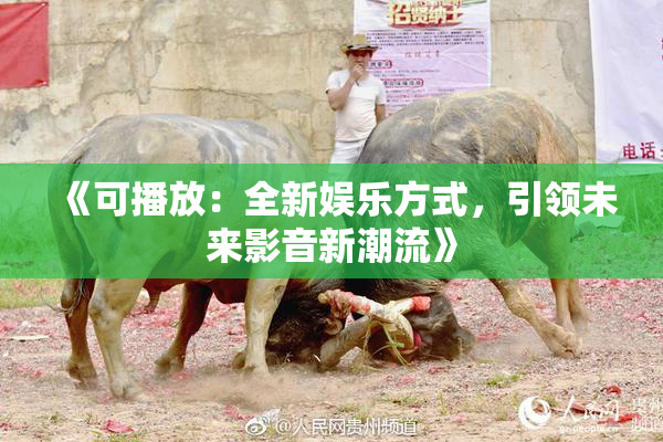 《可播放：全新娱乐方式，引领未来影音新潮流》