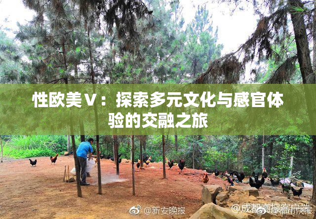 性欧美Ⅴ：探索多元文化与感官体验的交融之旅