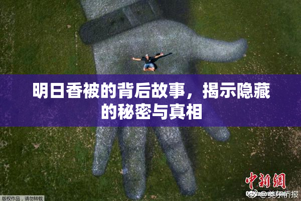 明日香被的背后故事，揭示隐藏的秘密与真相