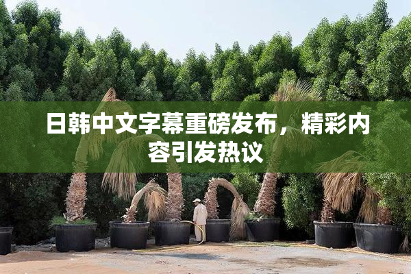 日韩中文字幕重磅发布，精彩内容引发热议