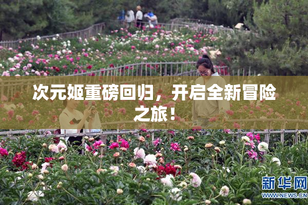次元姬重磅回归，开启全新冒险之旅！