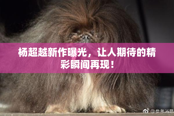杨超越新作曝光，让人期待的精彩瞬间再现！