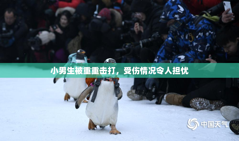 小男生被重重击打，受伤情况令人担忧