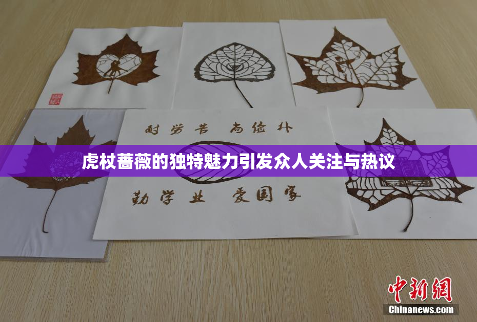 虎杖蔷薇的独特魅力引发众人关注与热议