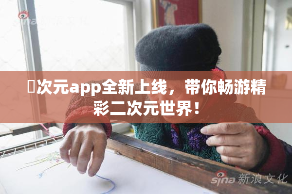 囧次元app全新上线，带你畅游精彩二次元世界！