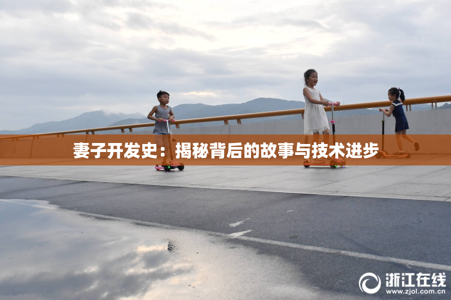 妻子开发史：揭秘背后的故事与技术进步