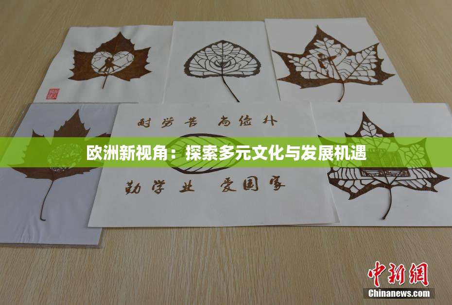 欧洲新视角：探索多元文化与发展机遇