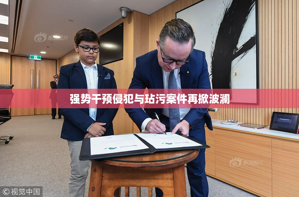 强势干预侵犯与玷污案件再掀波澜