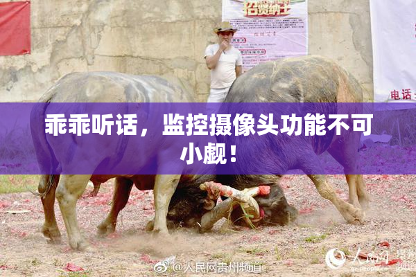 乖乖听话，监控摄像头功能不可小觑！