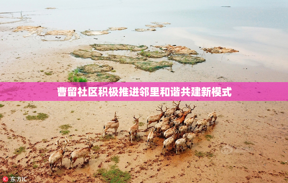 曹留社区积极推进邻里和谐共建新模式
