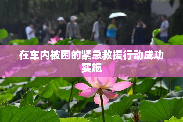 在车内被困的紧急救援行动成功实施