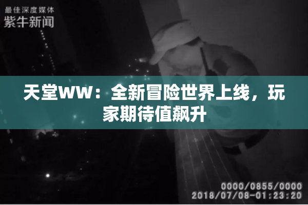 天堂WW：全新冒险世界上线，玩家期待值飙升