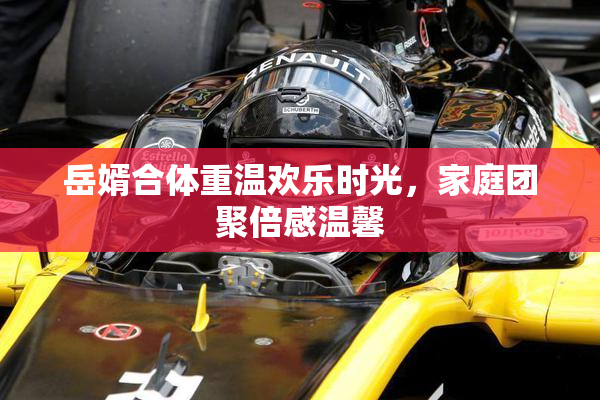 岳婿合体重温欢乐时光，家庭团聚倍感温馨