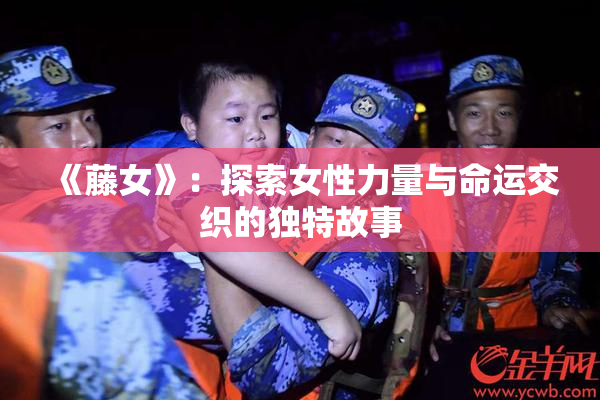 《藤女》：探索女性力量与命运交织的独特故事