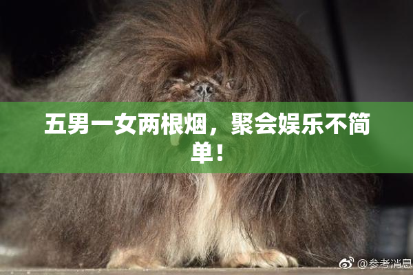 五男一女两根烟，聚会娱乐不简单！