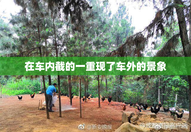 在车内截的一重现了车外的景象