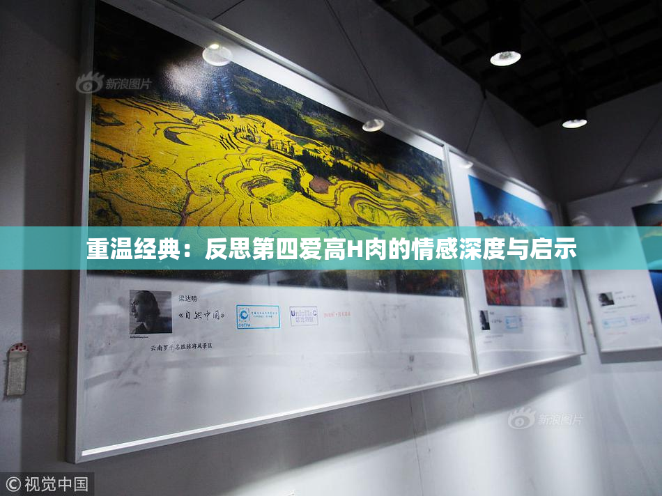 重温经典：反思第四爱高H肉的情感深度与启示