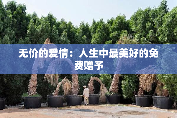 无价的爱情：人生中最美好的免费赠予