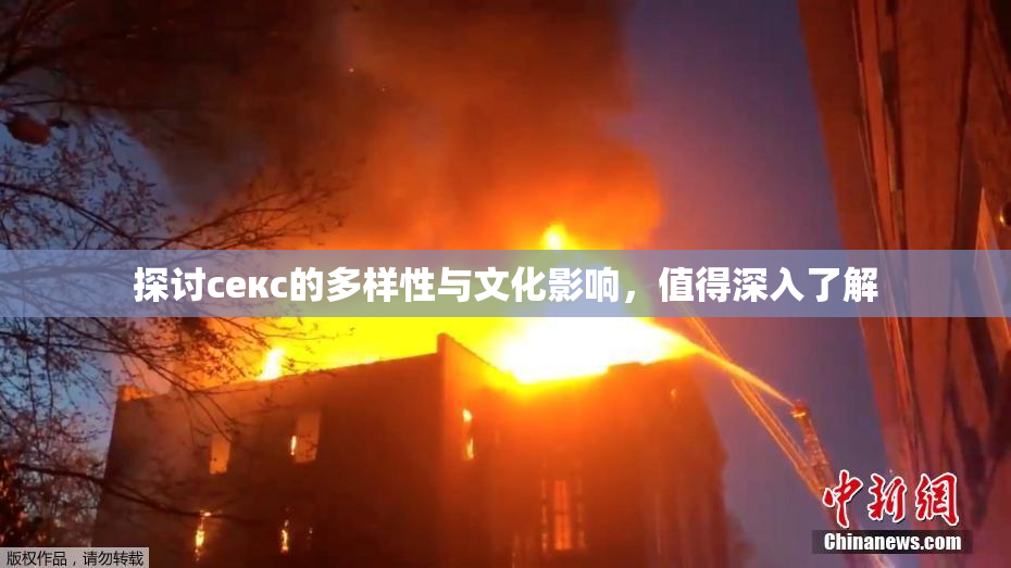 探讨секс的多样性与文化影响，值得深入了解
